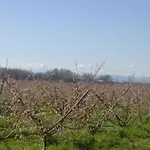 Farm stay La Casa Di Botro Botricello
