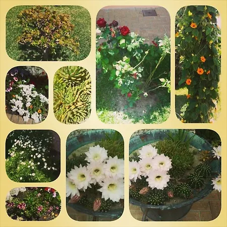 La Casa Di Botro Botricello