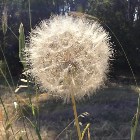 Farm stay La Casa Di Botro