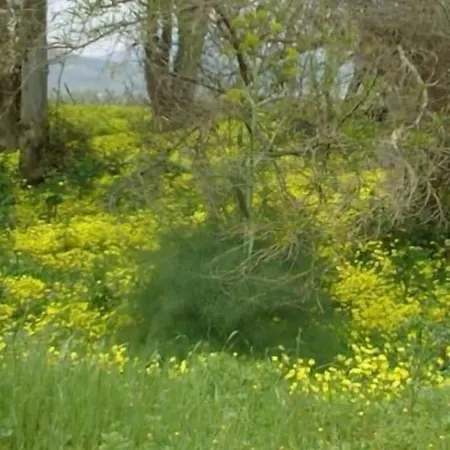 Farm stay La Casa Di Botro *