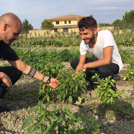 La Casa Di Botro Bauernhof Botricello