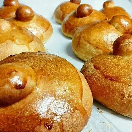 Farm stay La Casa Di Botro