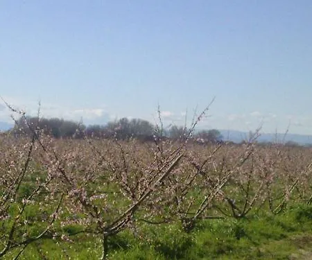 Séjour à la ferme La Casa Di Botro Botricello