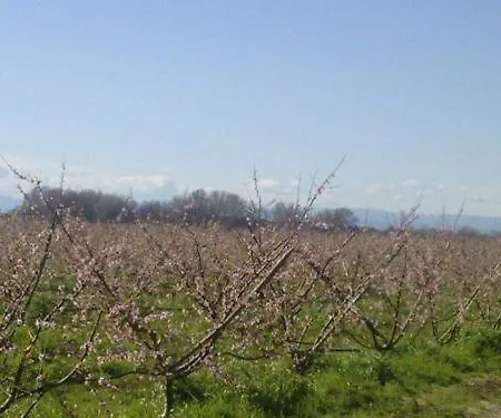 Agroturismo La Casa Di Botro Botricello