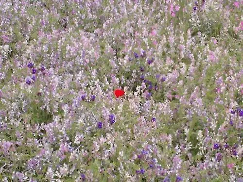 La Casa Di Botro Alojamento de Turismo Rural *