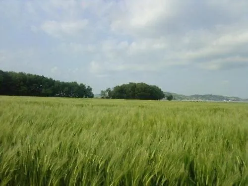 Alojamento de Turismo Rural La Casa Di Botro