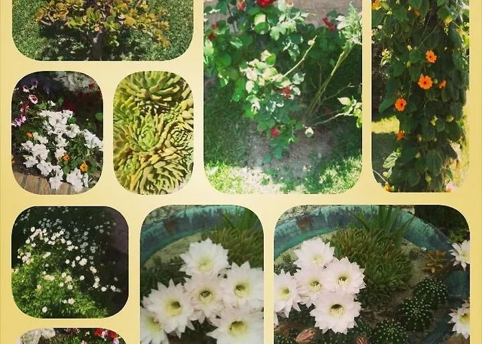 La Casa Di Botro Botricello