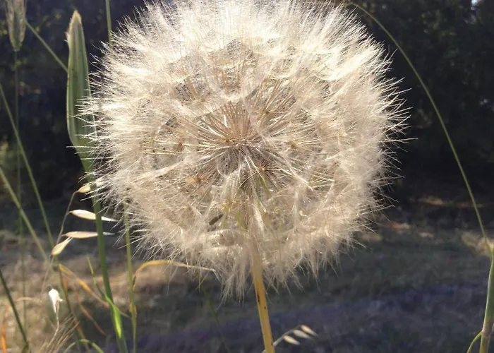 Alojamento de Turismo Rural La Casa Di Botro