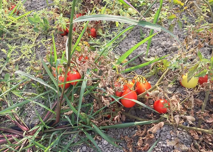 La Casa Di Botro * Botricello