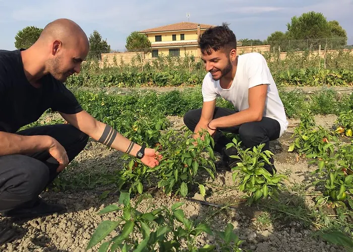 La Casa Di Botro Alojamento de Turismo Rural Botricello