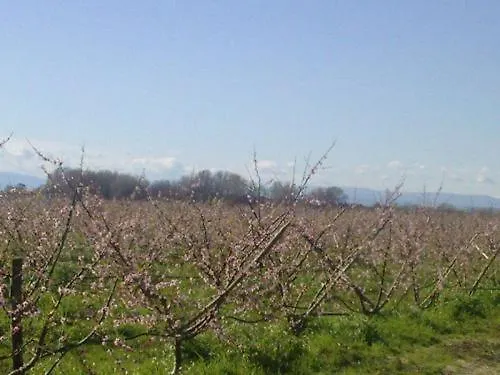 Alojamento de Turismo Rural La Casa Di Botro Botricello